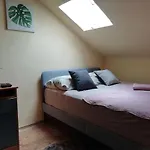 Felix *